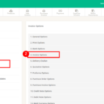 invoice-options